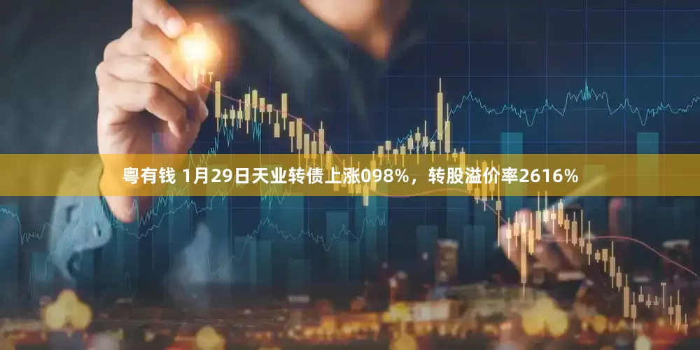 粤有钱 1月29日天业转债上涨098%，转股溢价率2616%