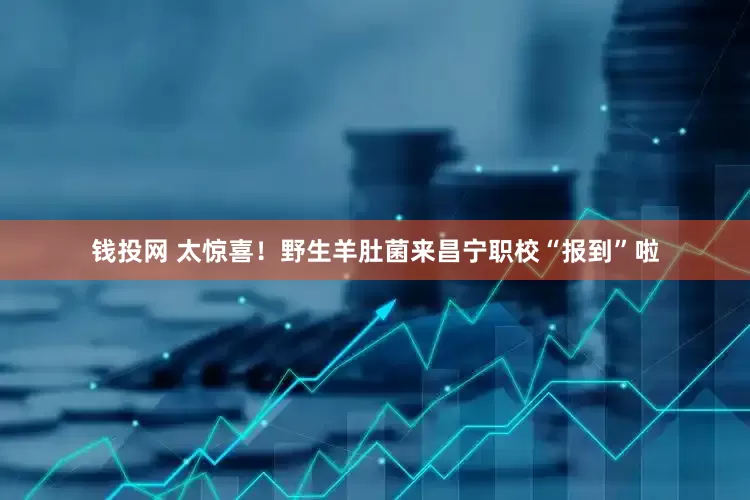 钱投网 太惊喜！野生羊肚菌来昌宁职校“报到”啦